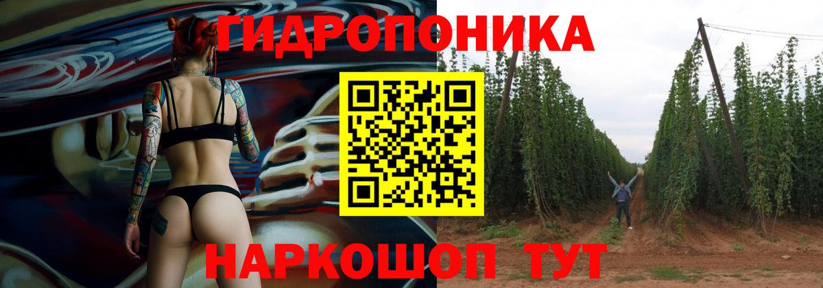 Каннабис AK-47 Тельмана
